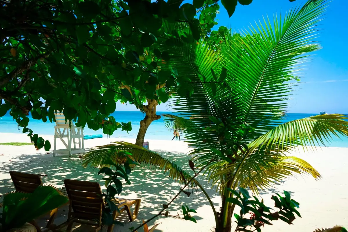 Ayurveda Beach Resort - Exclusive Negril Jamaica Retreat