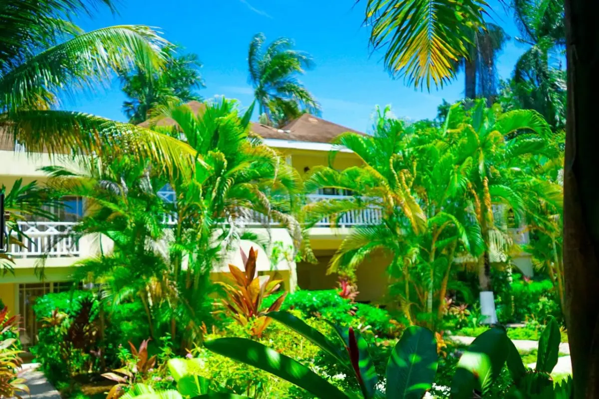 Ayurveda Beach Resort - Exclusive Negril Jamaica Retreat